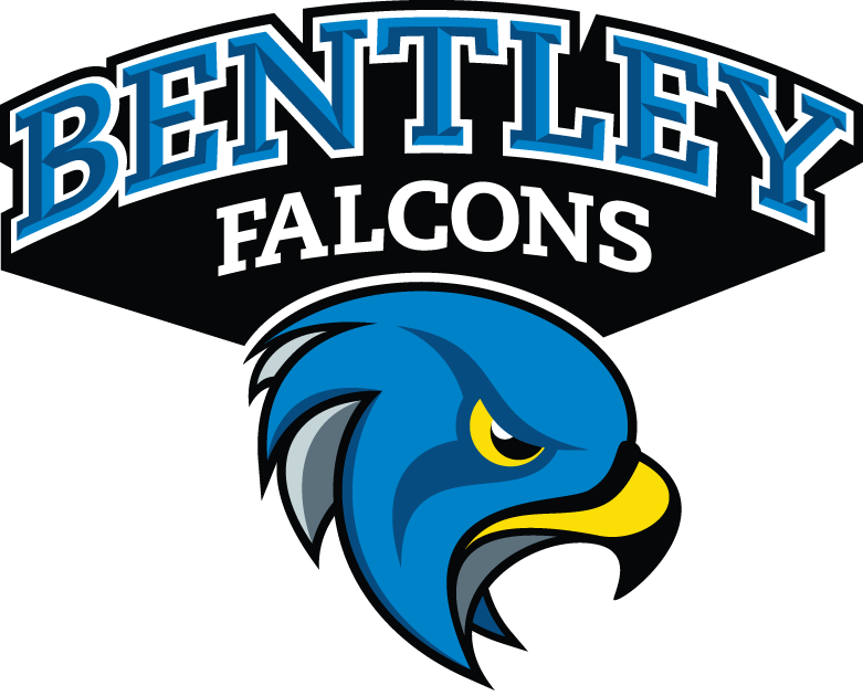 Bentley Falcons 2013-Pres Secondary Logo iron on transfers for T-shirts